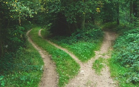 choose your destiny blog