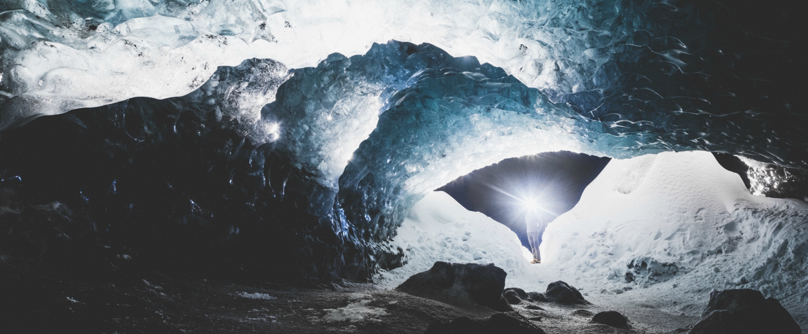 primal connections blog