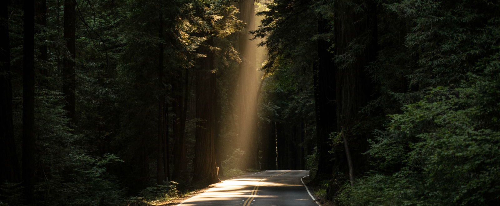 intuitive mind2 blog