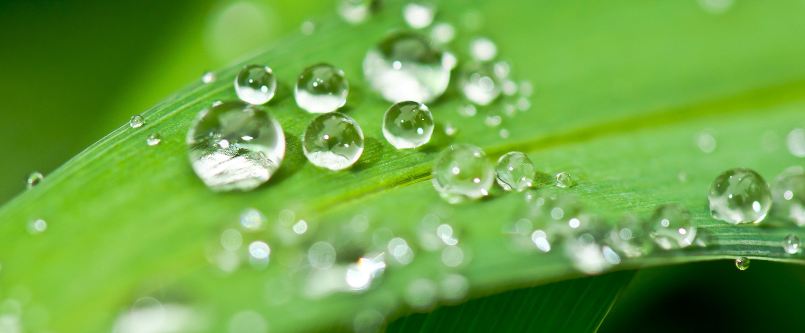 diet digestion colonic blog