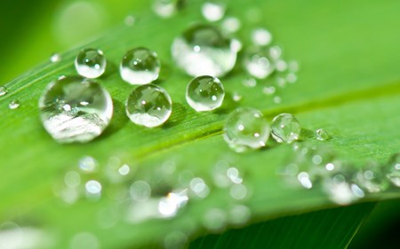 diet digestion colonic blog