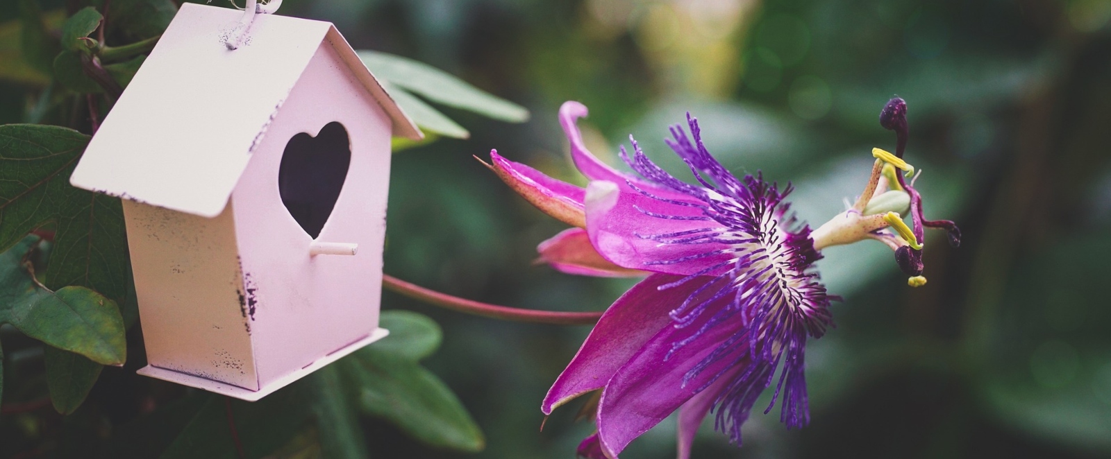 aug19 enlightenmentseries blog