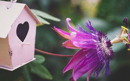 aug19 enlightenmentseries blog