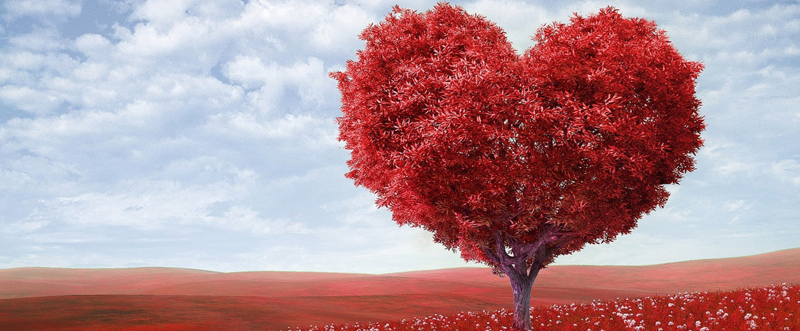 blog adrian castillo