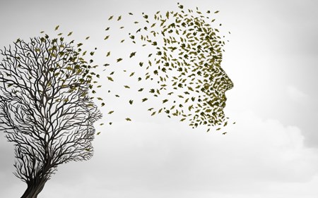 trasmigration 06052020 blog