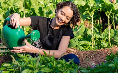 spiritual gardening blog 226