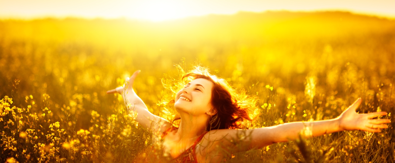 august enlightenment blog