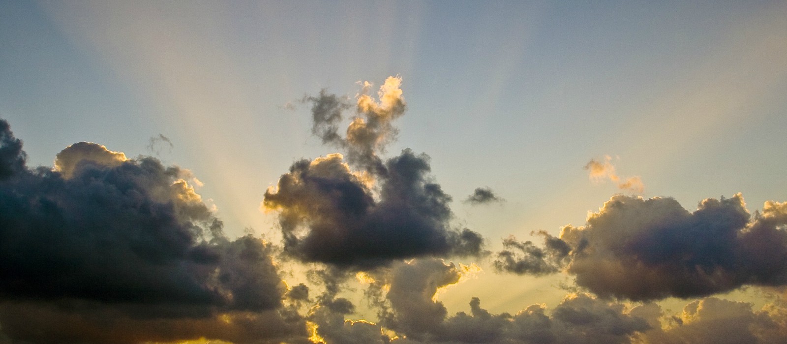 alliance for global consciousness blog