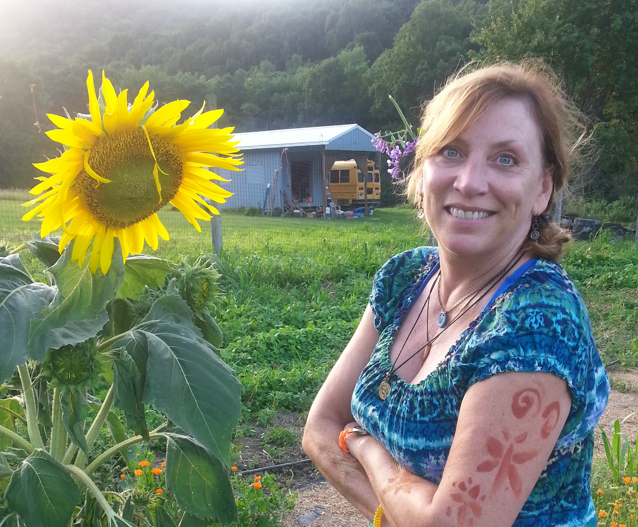 jennie taylor sunflower