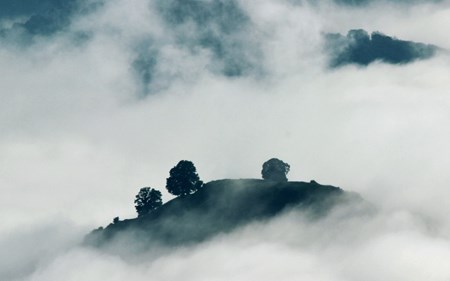 zombie apocalypse blog