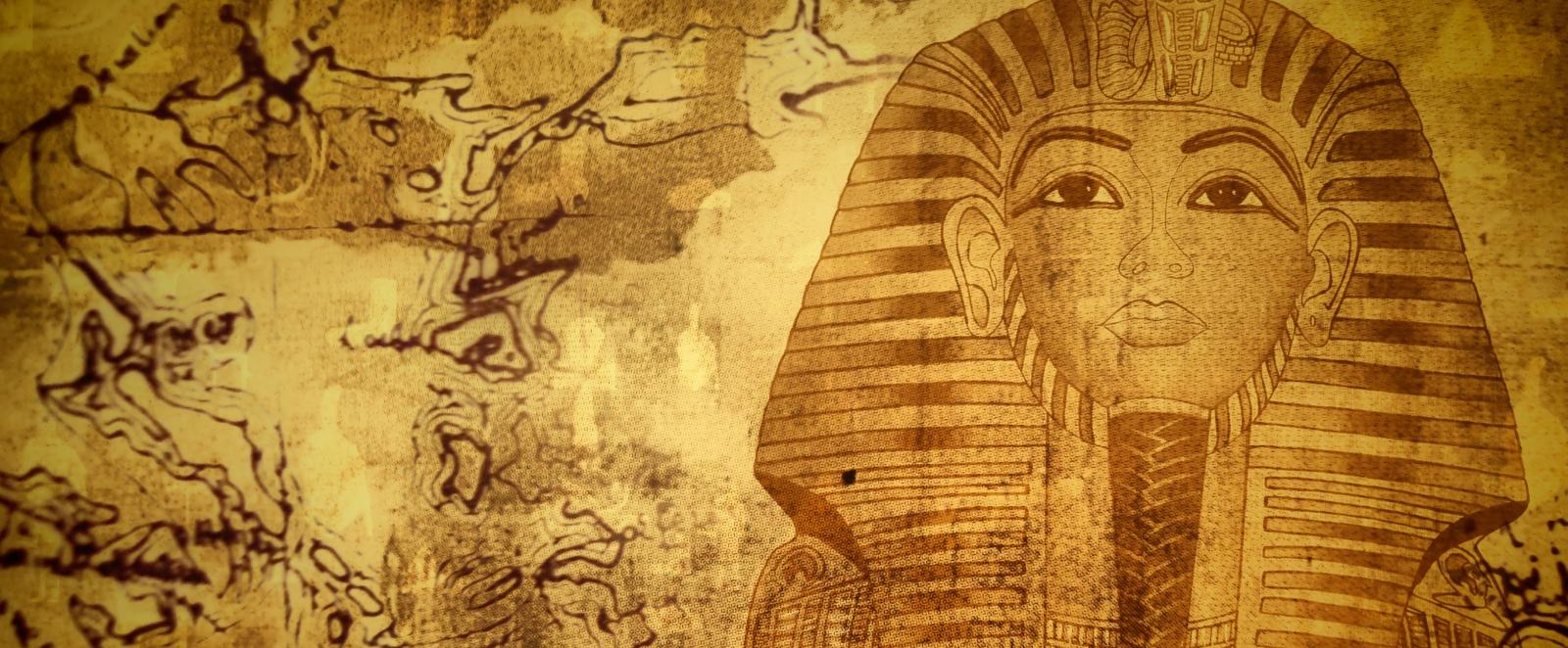 king tut blog