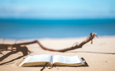 book reviews excerpts blog