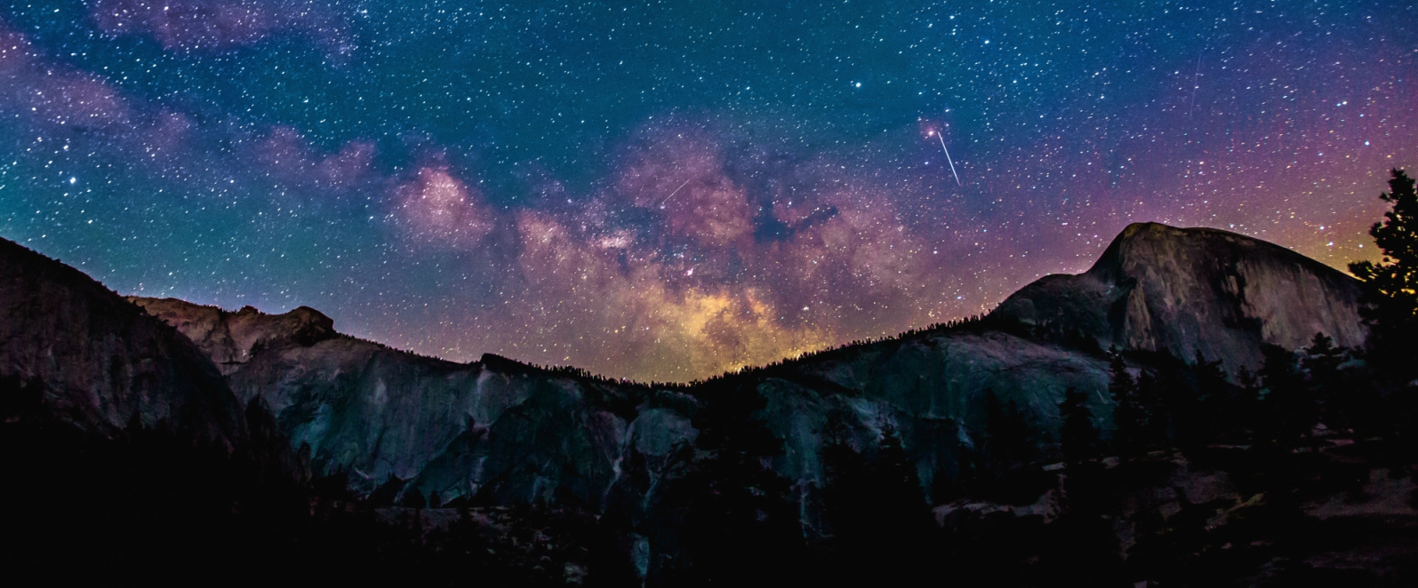 an answer to a vital question