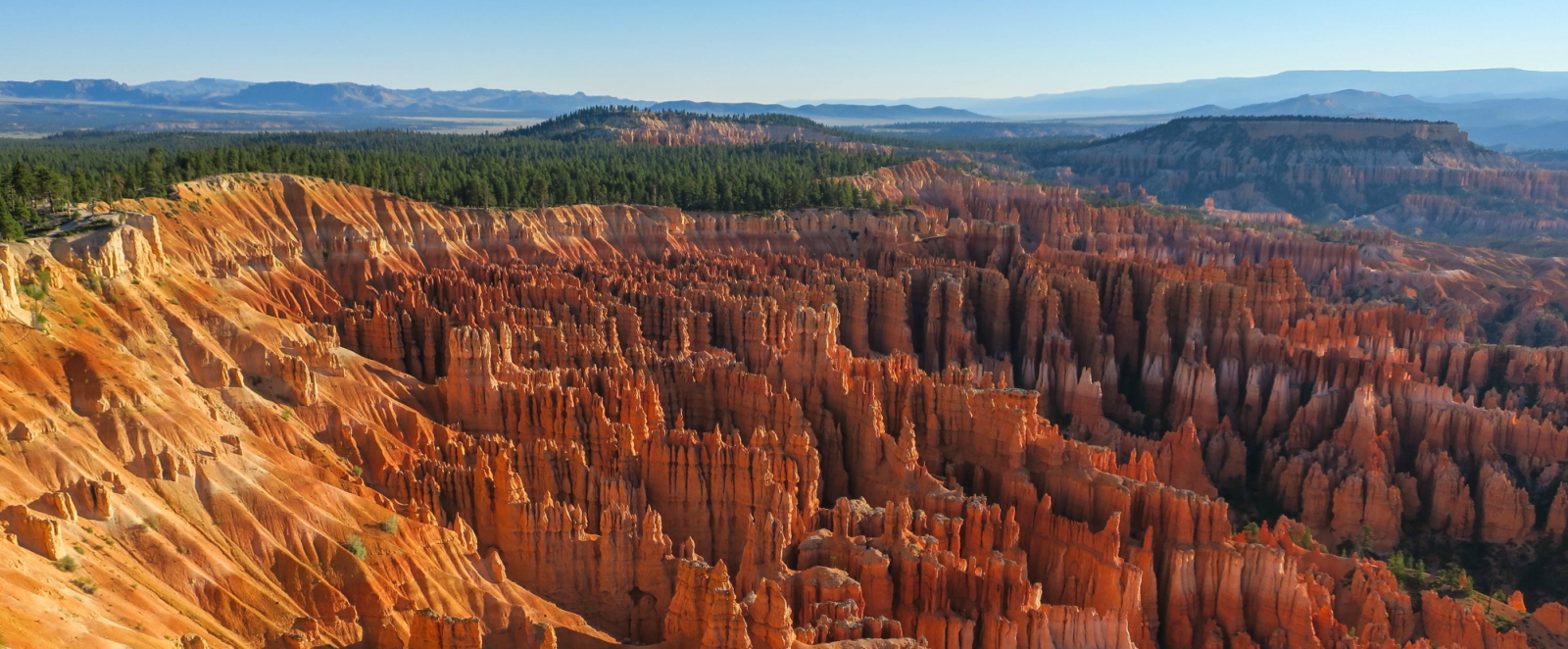 peopling of the americas