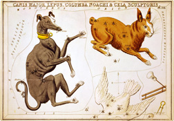 Sidney_Hall,_Canis_Major,_Lepus,_Columba Sidney_Hall,_Canis_Major,_Lepus,_Columba