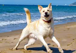 Don on the beach 062012 Don on the beach 062012