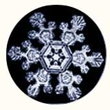 snowflake - Wilson Bentley snowflake - Wilson Bentley